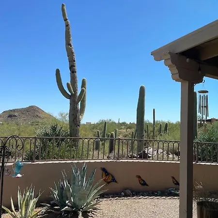 Tucson Mnt Foothills Saguaro Bliss Villa Exterior photo