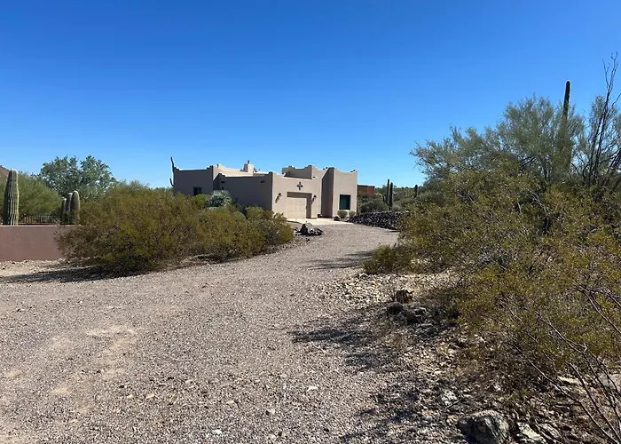 Tucson Mnt Foothills Saguaro Bliss
