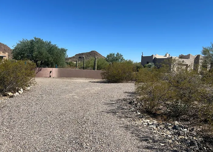 Tucson Mnt Foothills Saguaro Bliss