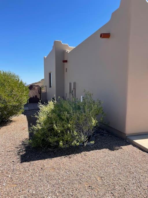 Mnt Foothills Saguaro Bliss Tucson