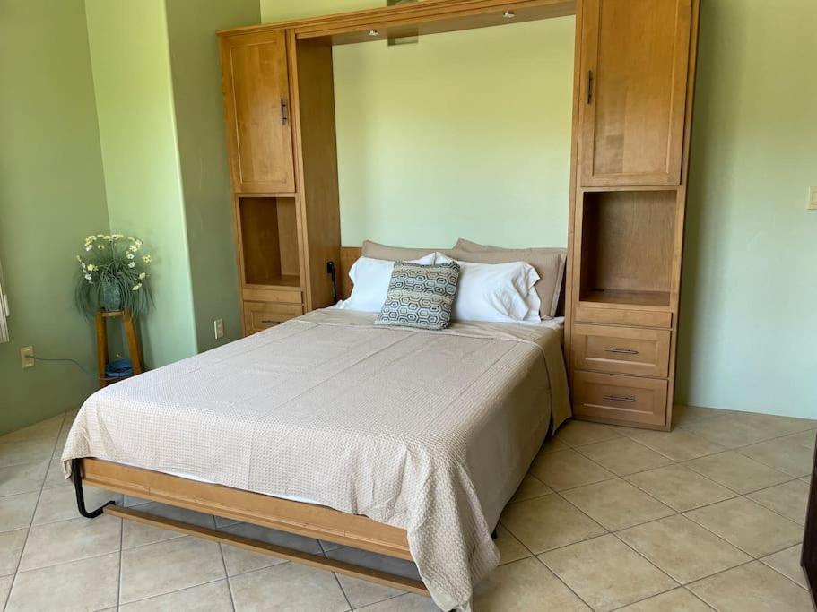 Mnt Foothills Saguaro Bliss Holiday home Tucson