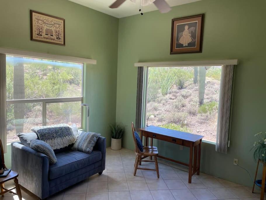 Mnt Foothills Saguaro Bliss * Tucson