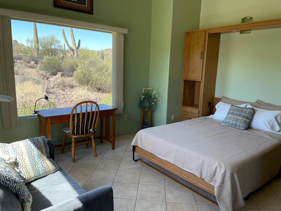 Mnt Foothills Saguaro Bliss *