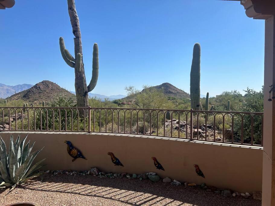 Mnt Foothills Saguaro Bliss * Tucson