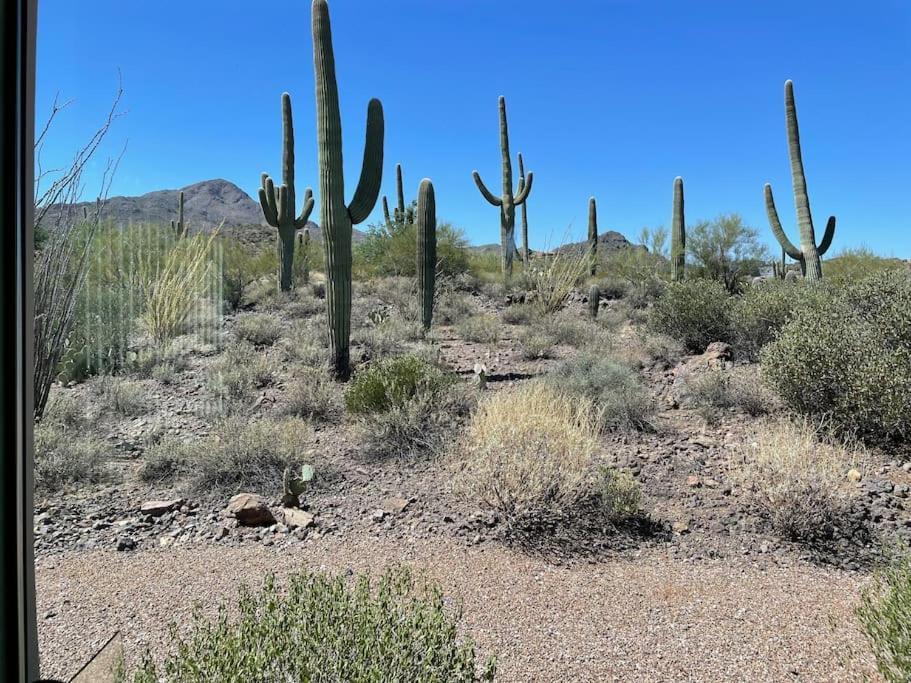 Mnt Foothills Saguaro Bliss Holiday home Tucson