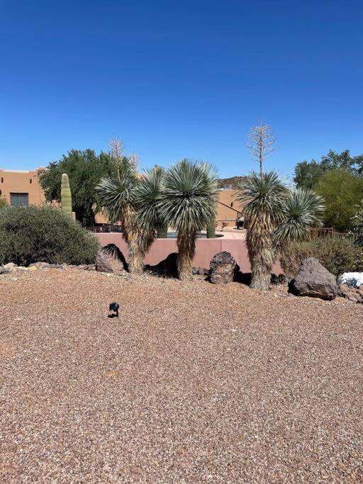 Mnt Foothills Saguaro Bliss Holiday home Tucson