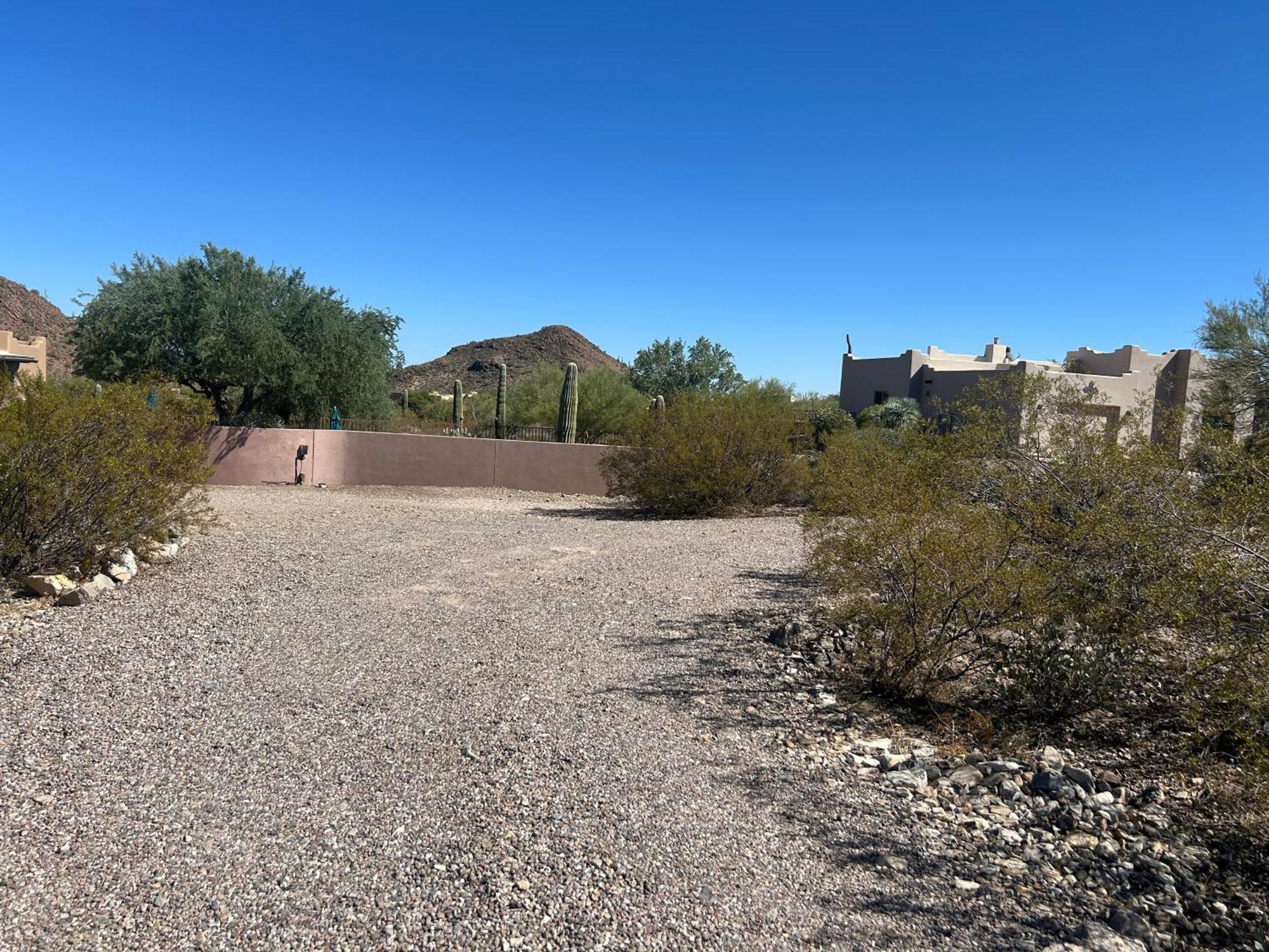Mnt Foothills Saguaro Bliss Tucson